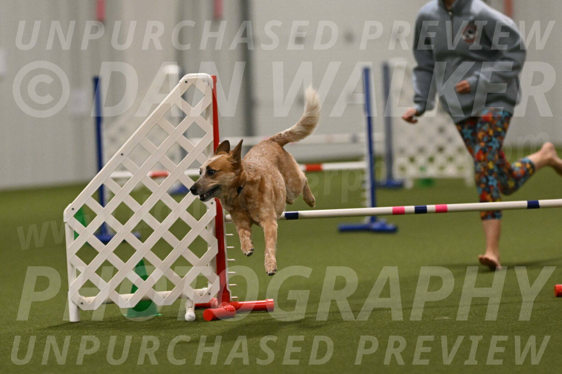 Kimber-Deanna-Rath-01616