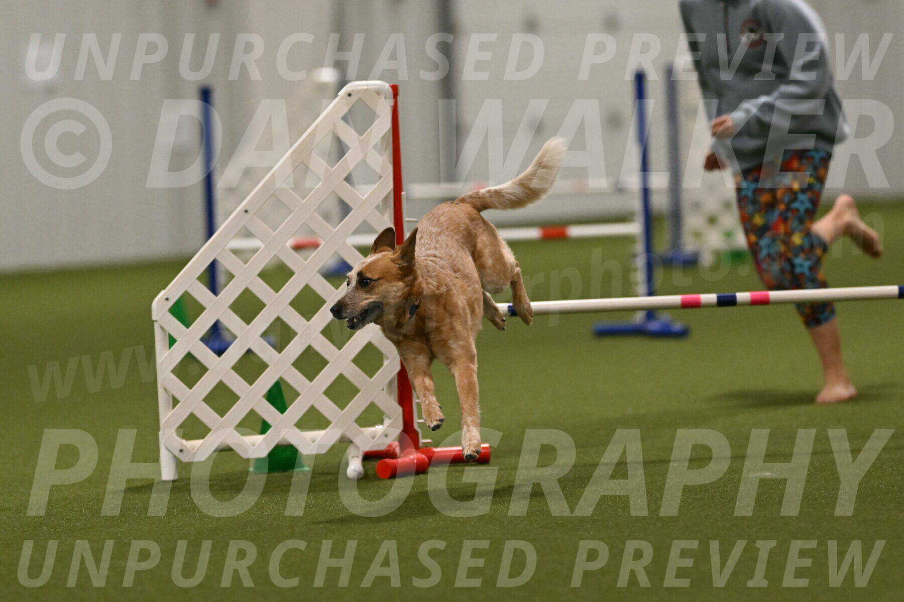 Kimber-Deanna-Rath-01617