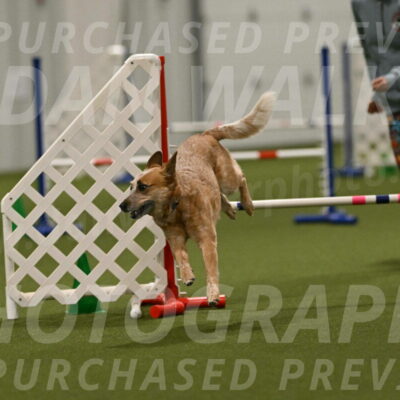 Kimber-Deanna-Rath-01617