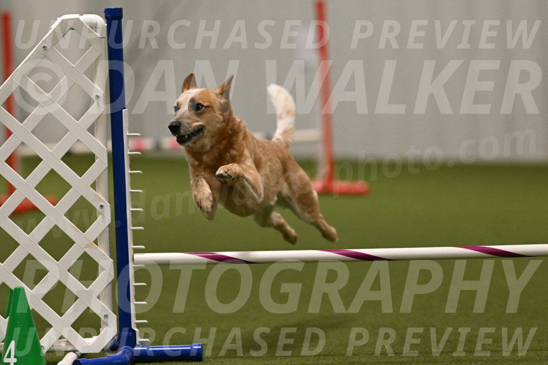 Kimber-Deanna-Rath-01618