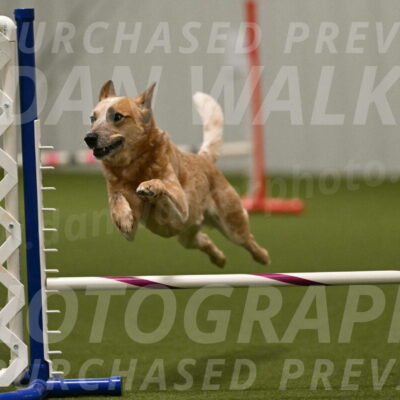 Kimber-Deanna-Rath-01618