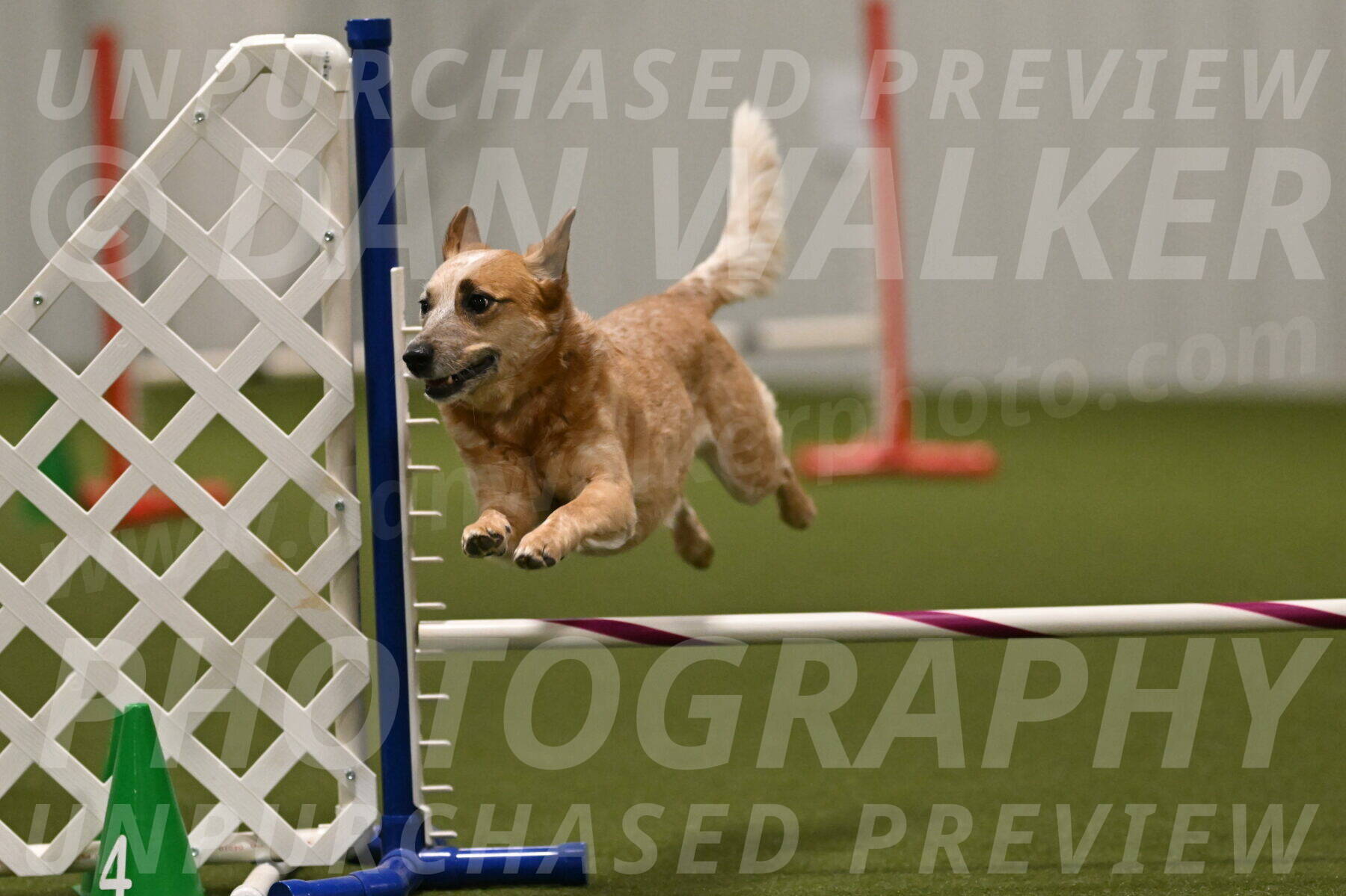 Kimber-Deanna-Rath-01619