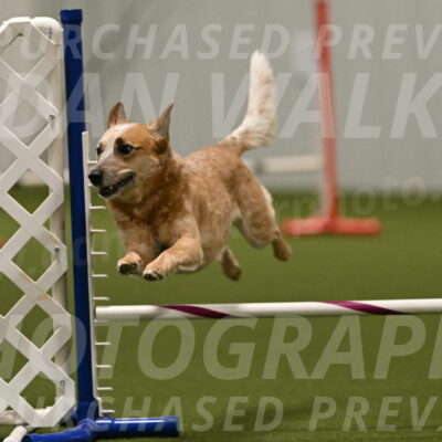 Kimber-Deanna-Rath-01619