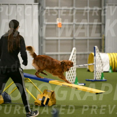 Kismet-Julianna-Lobosky-06345