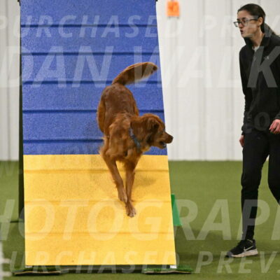 Kismet-Julianna-Lobosky-06355