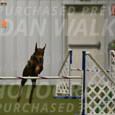 Lexi-Julie-Lust-04577