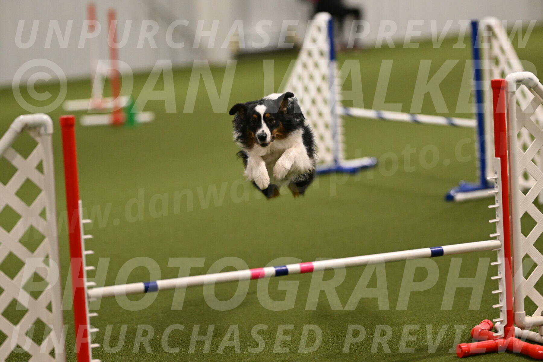 Lily-Claudia-Brydon-07764