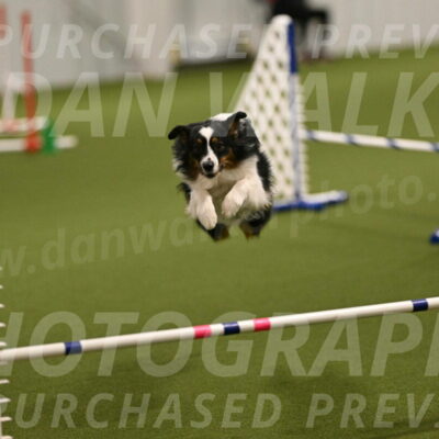 Lily-Claudia-Brydon-07764