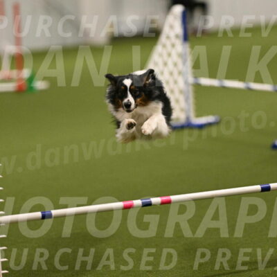 Lily-Claudia-Brydon-07765