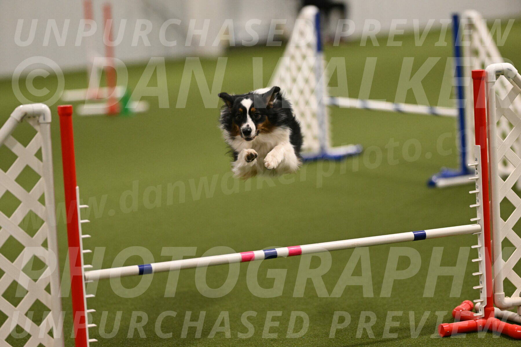 Lily-Claudia-Brydon-07765