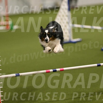 Lily-Claudia-Brydon-07766