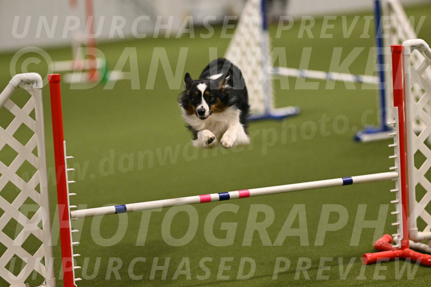 Lily-Claudia-Brydon-07766