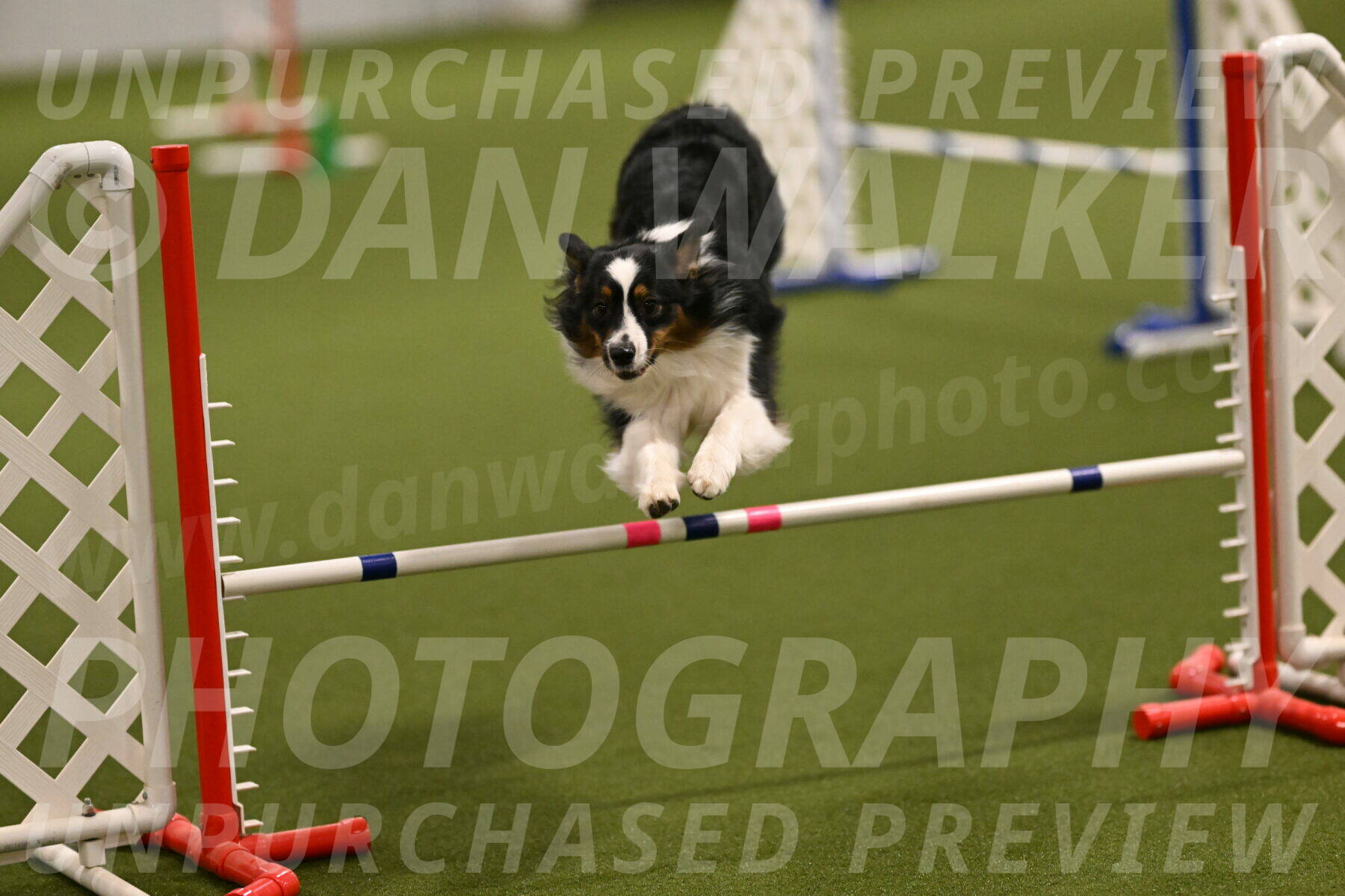 Lily-Claudia-Brydon-07767