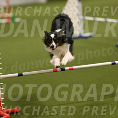 Lily-Claudia-Brydon-07767