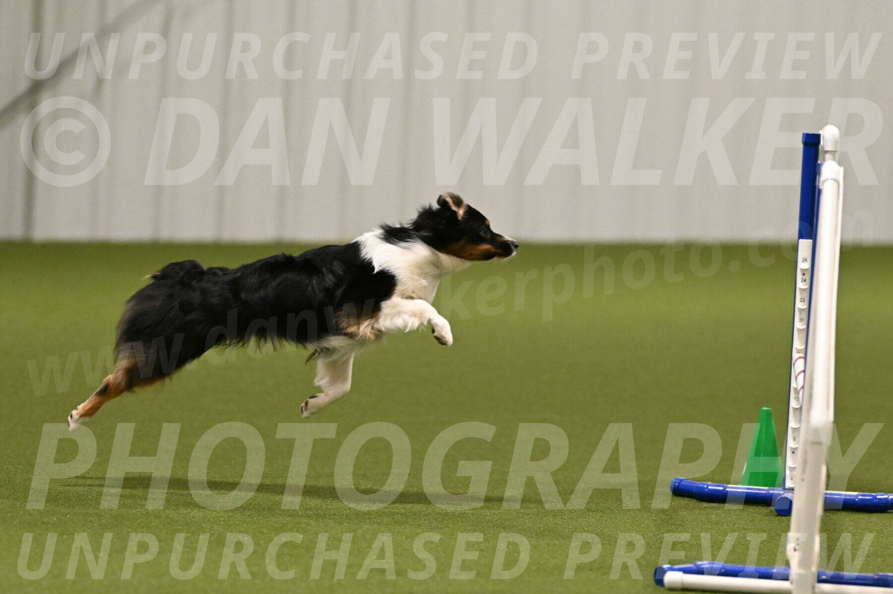 Lily-Claudia-Brydon-07768