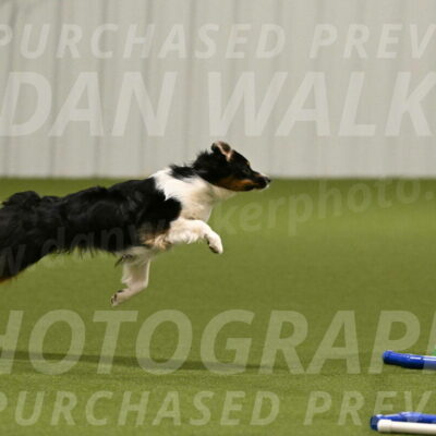 Lily-Claudia-Brydon-07768