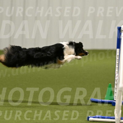 Lily-Claudia-Brydon-07769