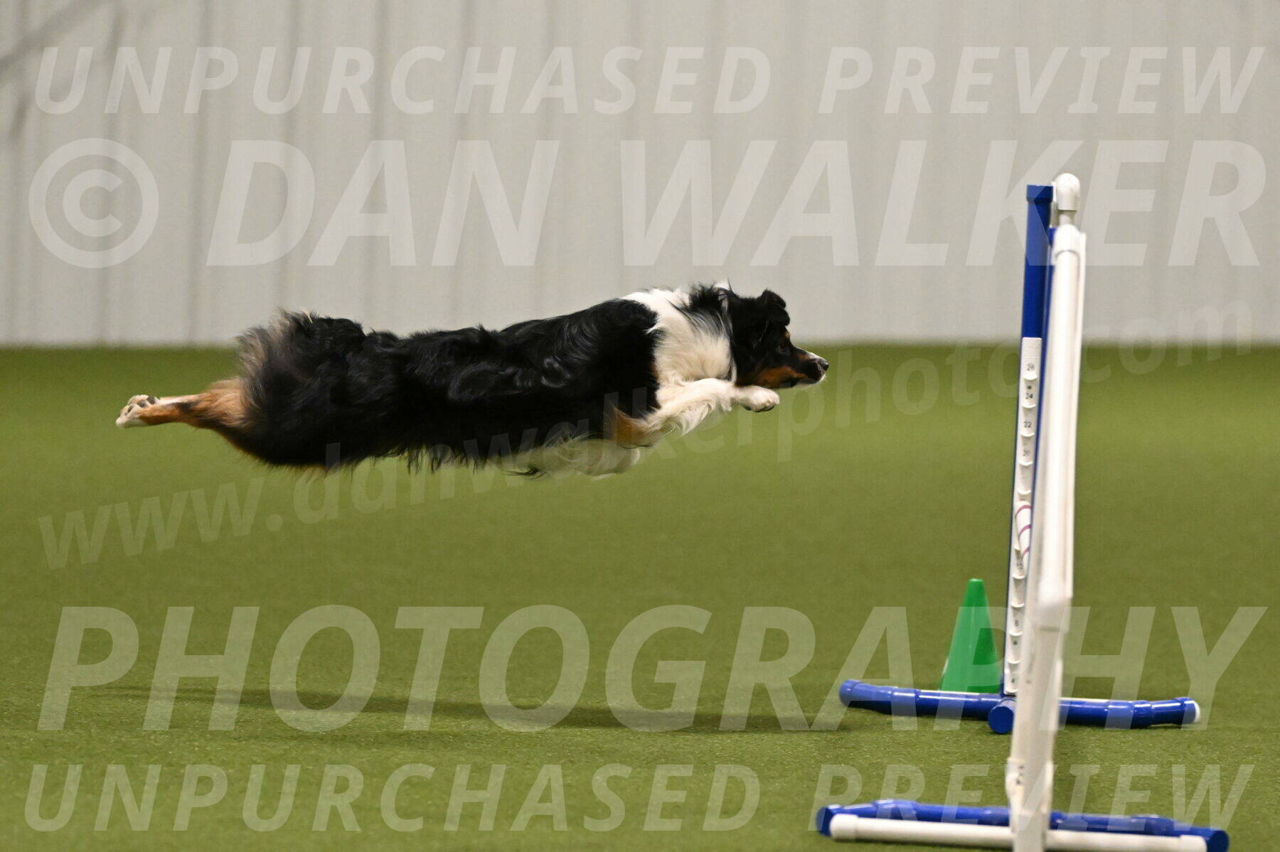 Lily-Claudia-Brydon-07769