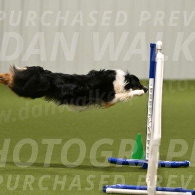 Lily-Claudia-Brydon-07770