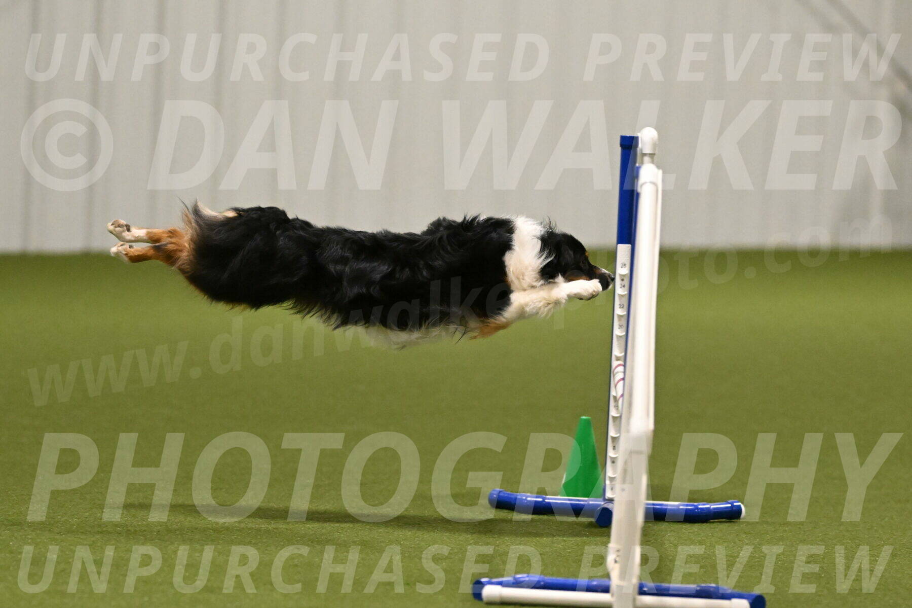 Lily-Claudia-Brydon-07770