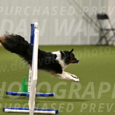 Lily-Claudia-Brydon-07772