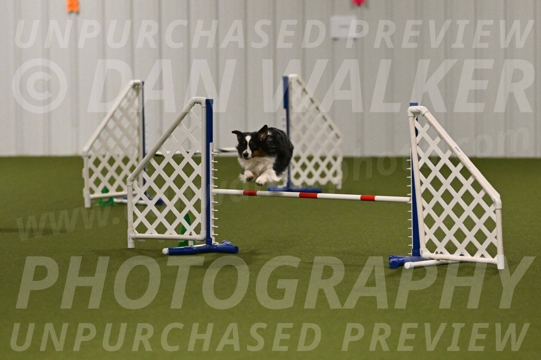 Lily-Claudia-Brydon-07773