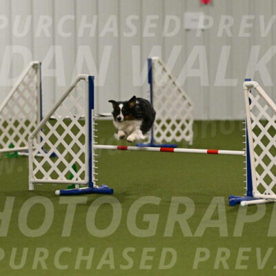 Lily-Claudia-Brydon-07773