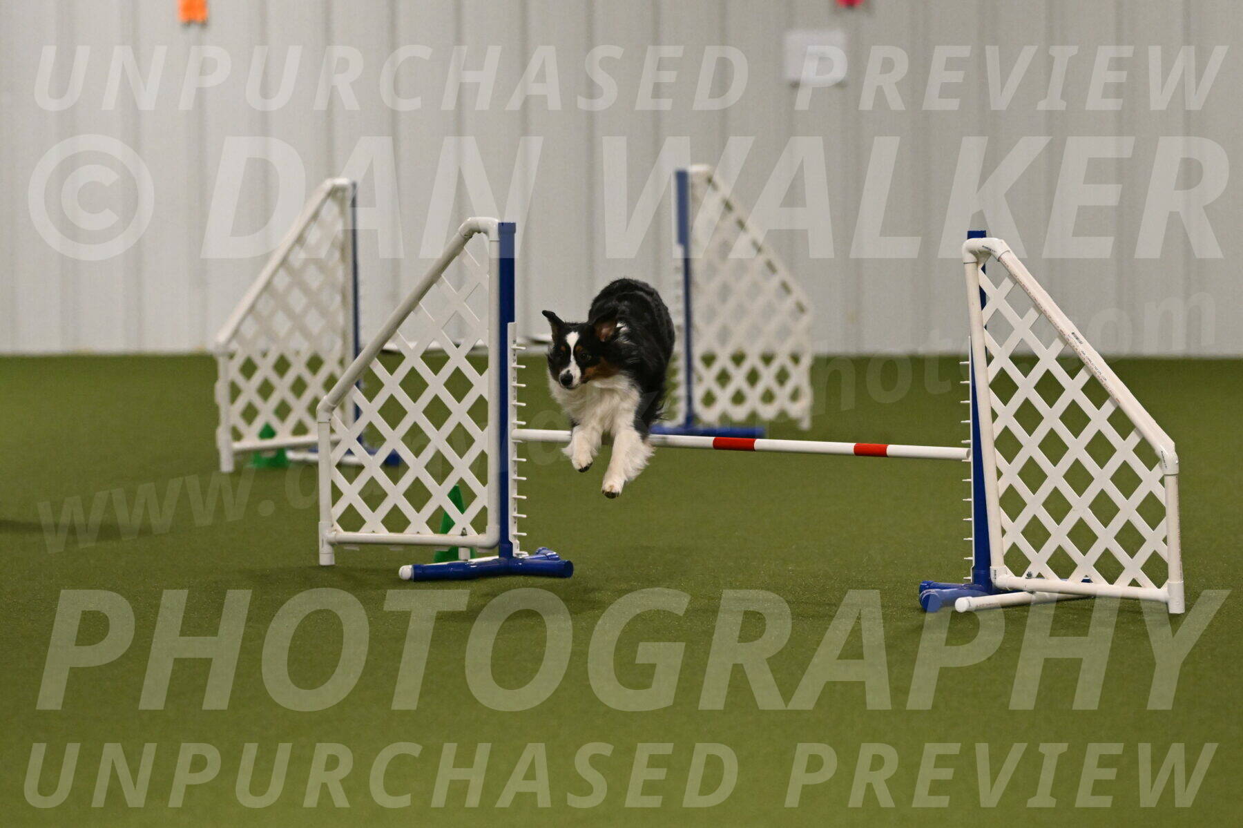 Lily-Claudia-Brydon-07774