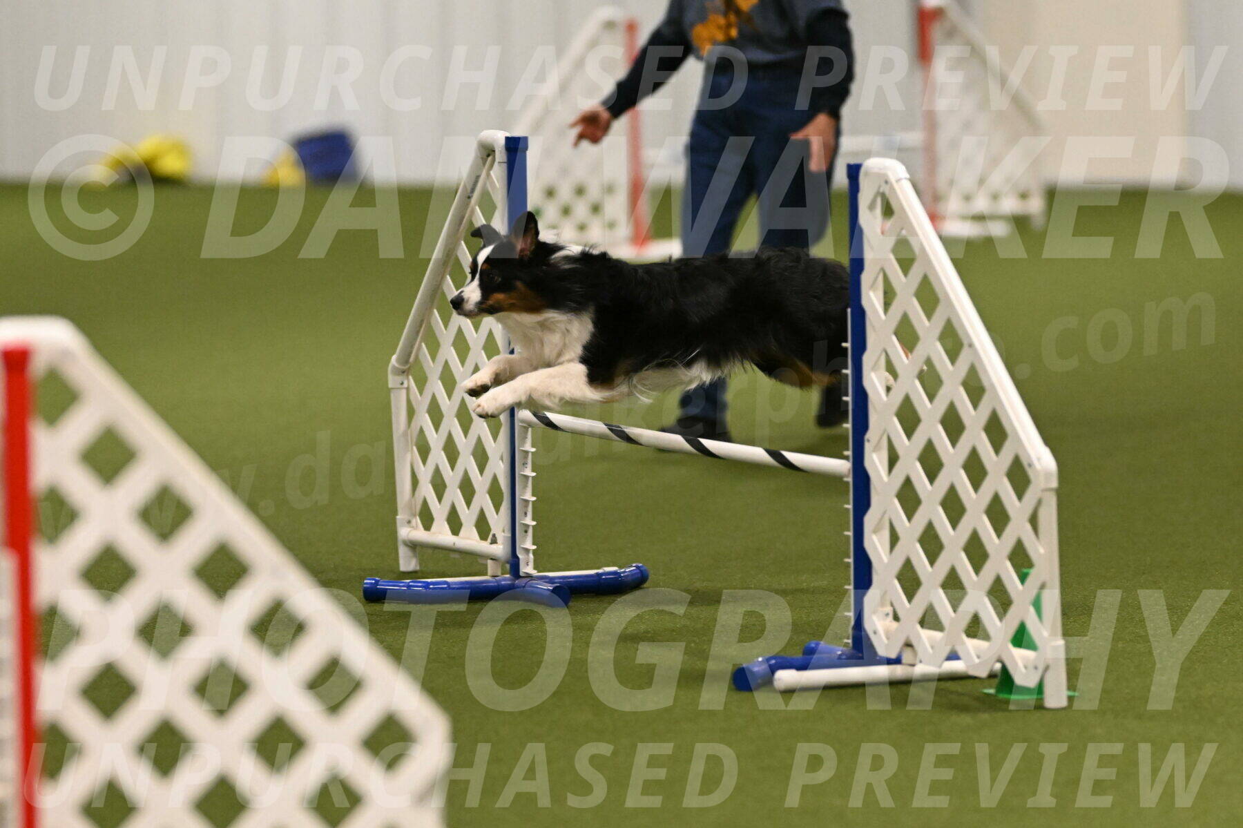 Lily-Claudia-Brydon-07775