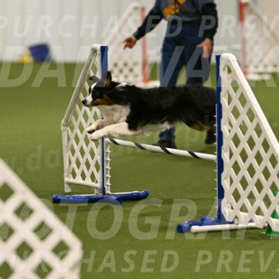 Lily-Claudia-Brydon-07775