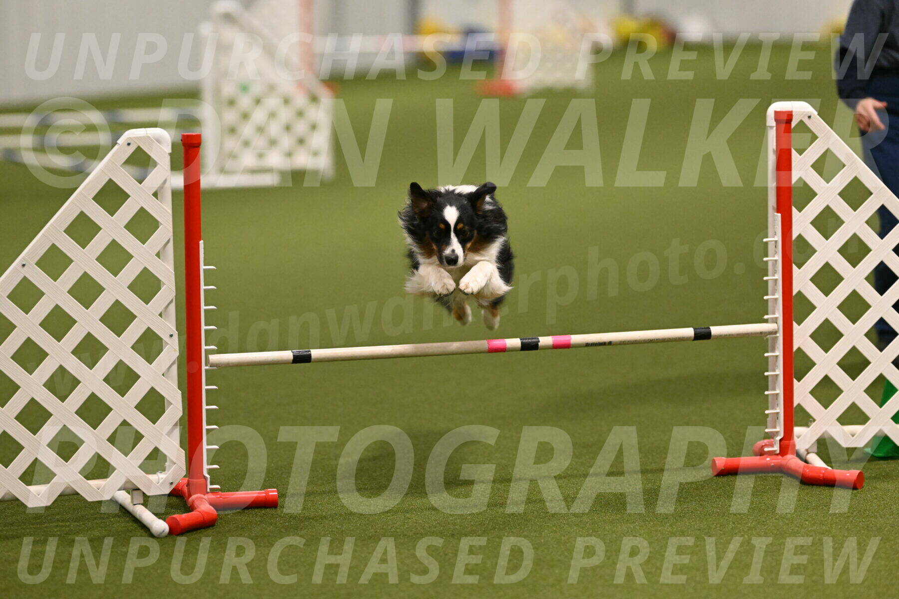 Lily-Claudia-Brydon-07776