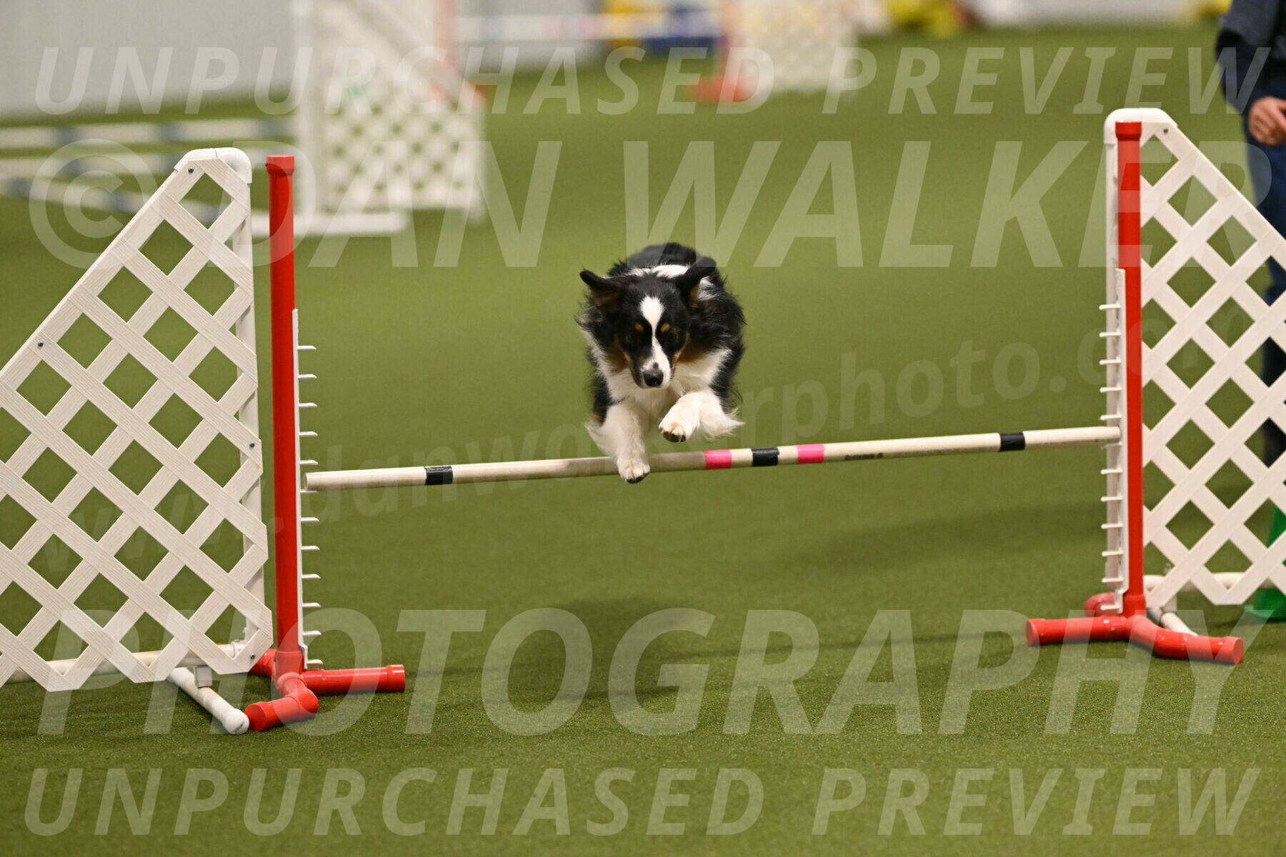 Lily-Claudia-Brydon-07777