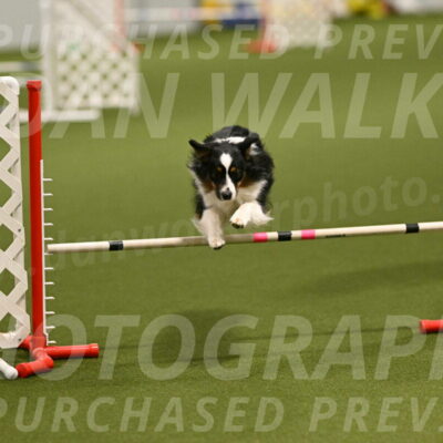 Lily-Claudia-Brydon-07777