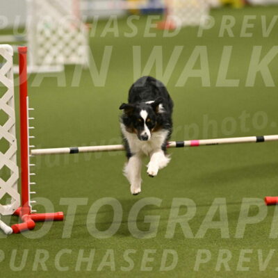 Lily-Claudia-Brydon-07778