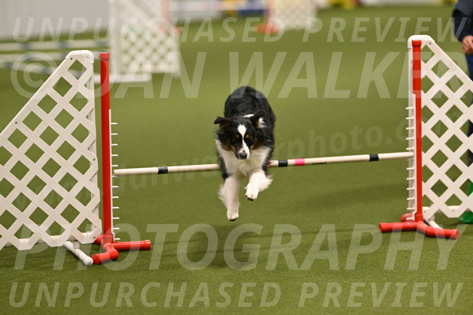 Lily-Claudia-Brydon-07778