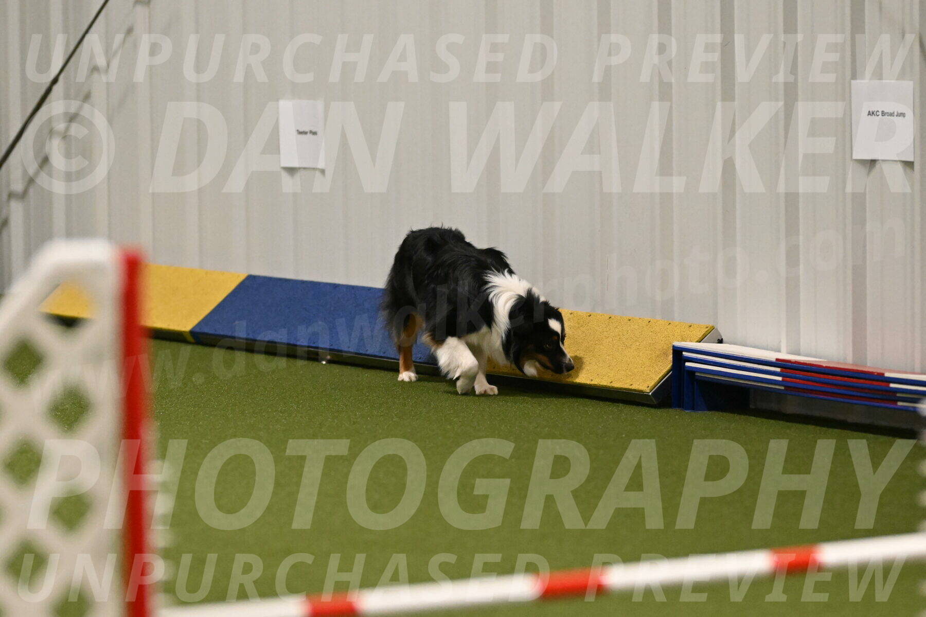 Lily-Claudia-Brydon-07780