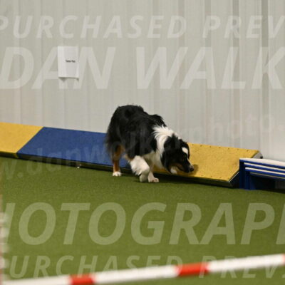 Lily-Claudia-Brydon-07780