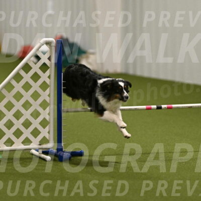 Lily-Claudia-Brydon-07781