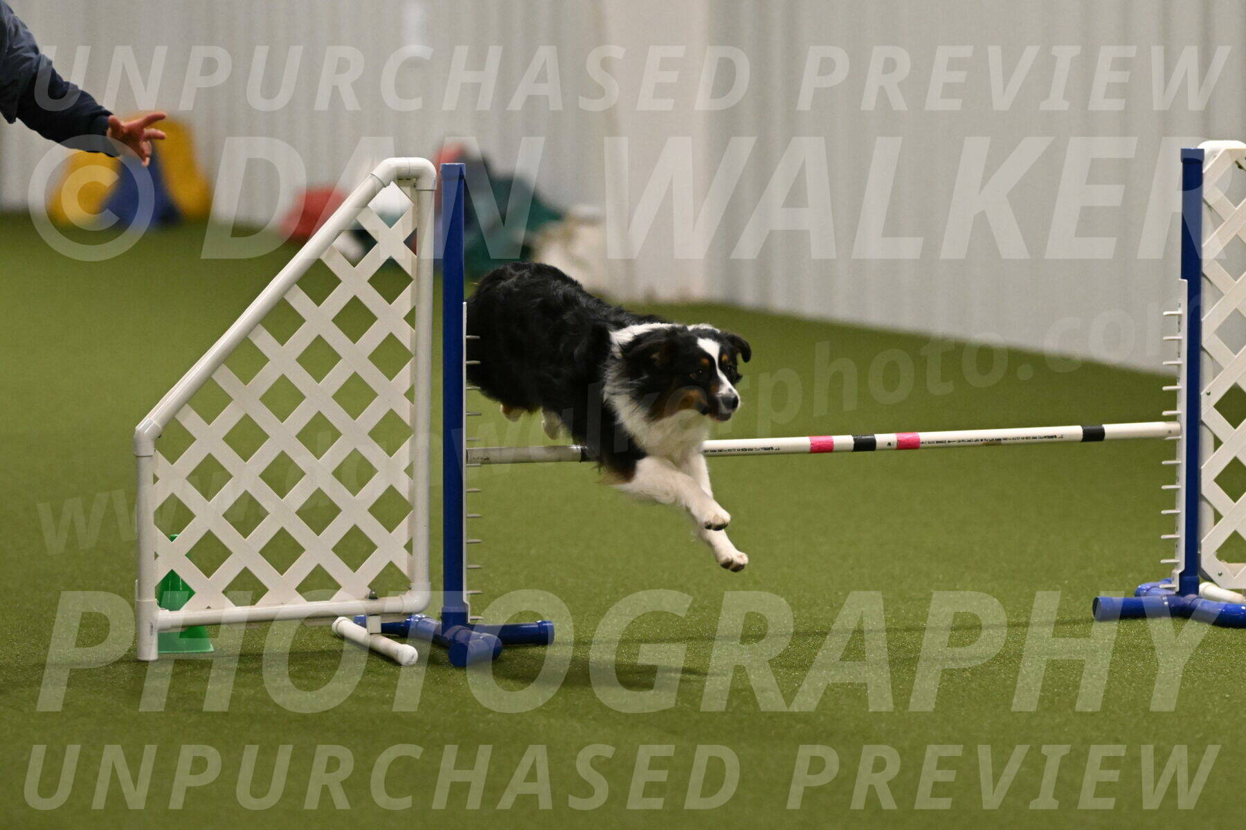 Lily-Claudia-Brydon-07781