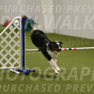 Lily-Claudia-Brydon-07782