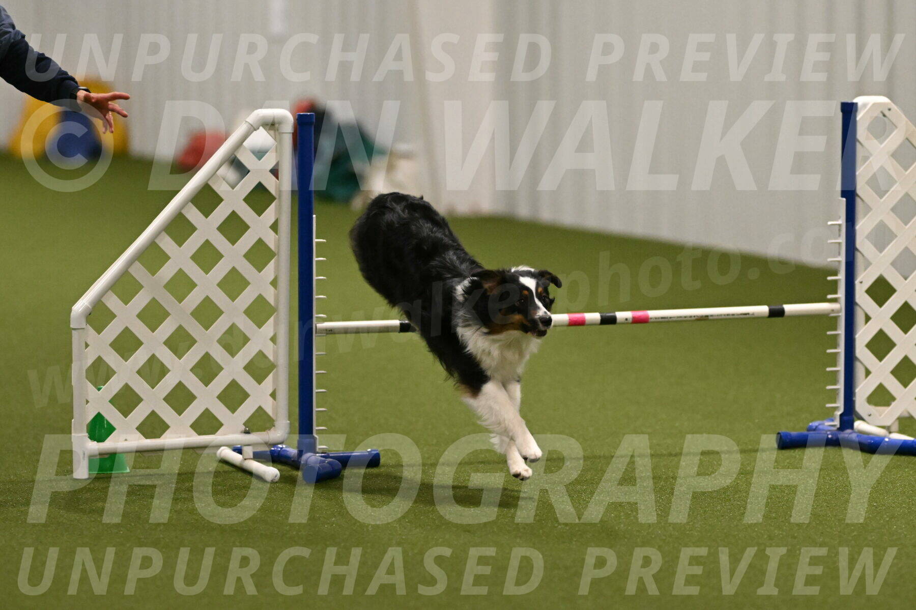 Lily-Claudia-Brydon-07782