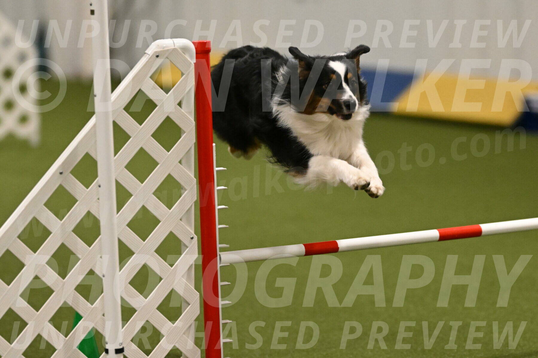 Lily-Claudia-Brydon-07783