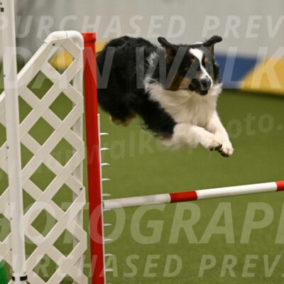 Lily-Claudia-Brydon-07783