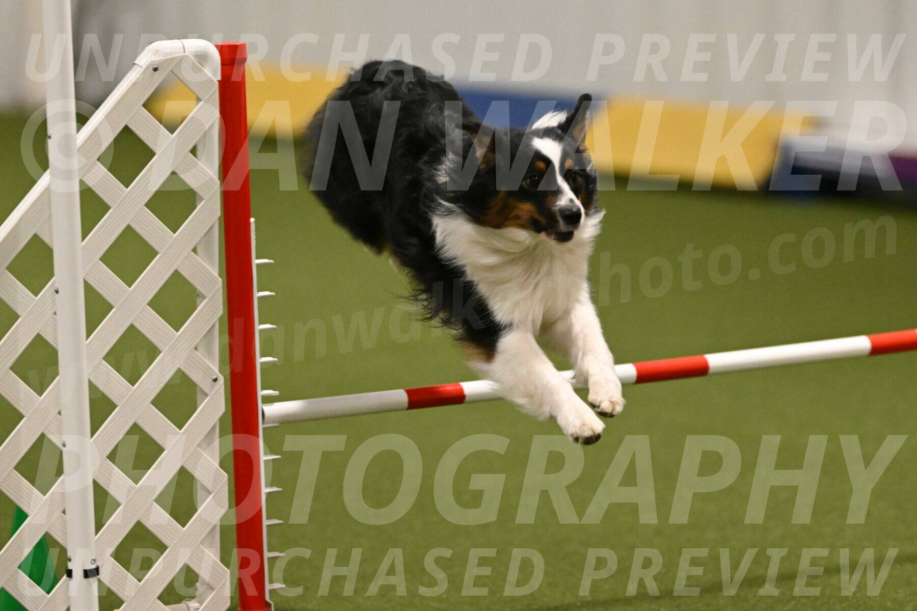 Lily-Claudia-Brydon-07784