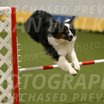 Lily-Claudia-Brydon-07784