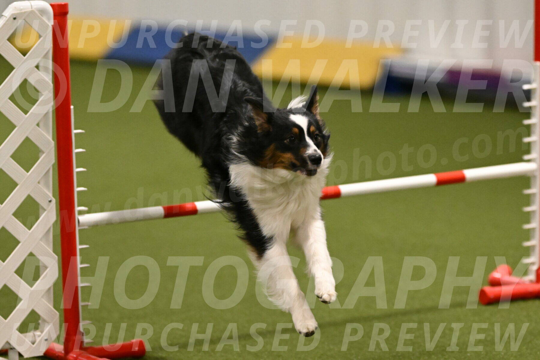 Lily-Claudia-Brydon-07785