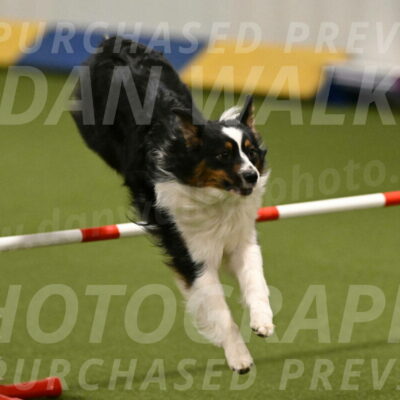 Lily-Claudia-Brydon-07785