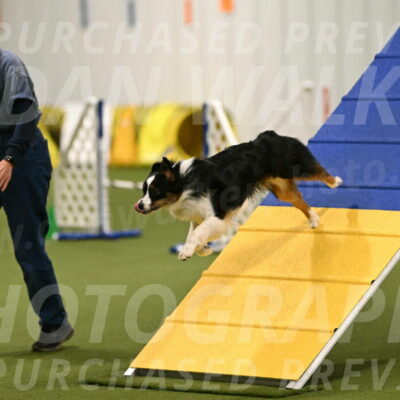 Lily-Claudia-Brydon-07788