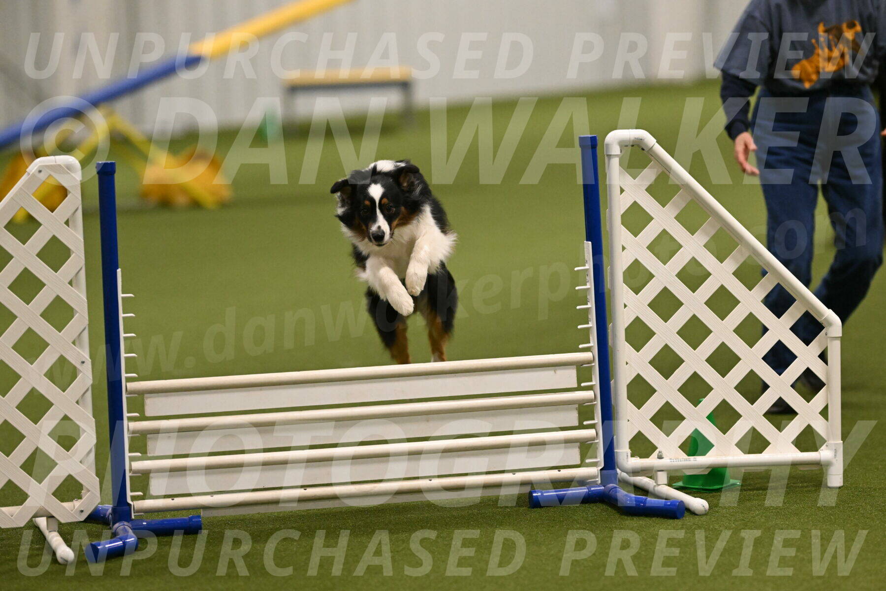 Lily-Claudia-Brydon-07791