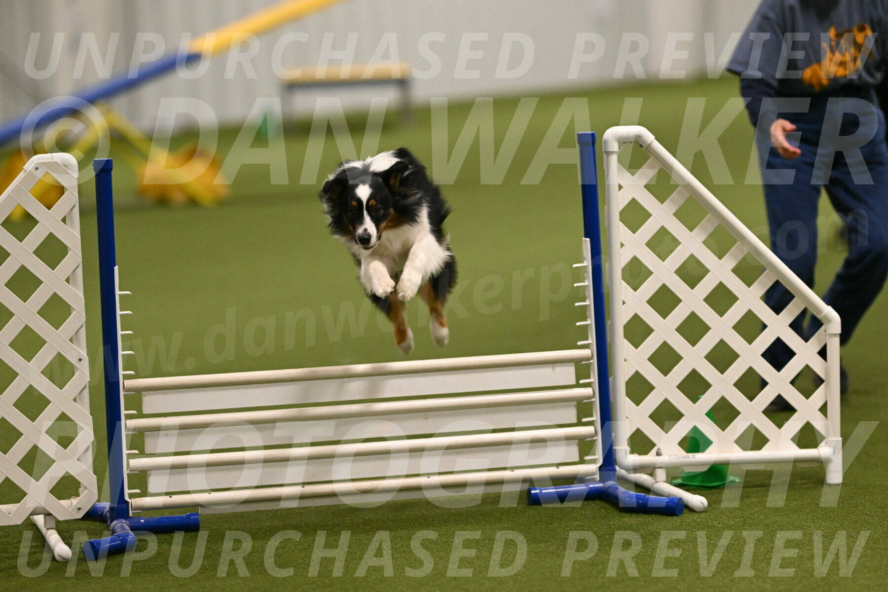 Lily-Claudia-Brydon-07792